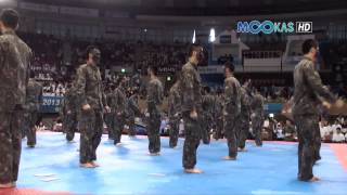 Taekwondo display by the Korean army at the 2013 Hammadang [upl. by Adnalor]