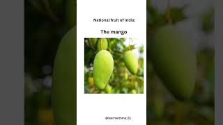 NATIONAL FRUITINDIA shorts shortvideo [upl. by Kali]