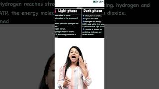 Difference Between Light Phase amp Dark Phase   Xylem Class 9 [upl. by Cheri]