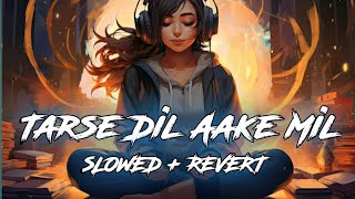 Tarse Dil Aake Mil Mujhko Kyu Tadpata Hai  Slowed  Reverb Payal Deb  Aditya Dev  Smart Lofi Xyz [upl. by Herodias]