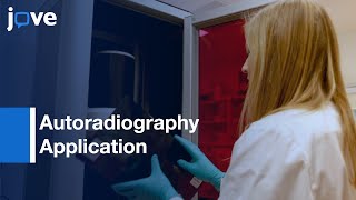 Autoradiography Application [upl. by Bertrando]