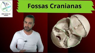 Ossos do crânio fossas cranianas 58 [upl. by Gnuj]