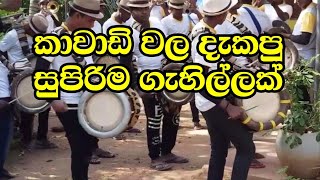 දකපු සුපිරිම කාවඩි ගැහිල්ලක්  Kawadi papare sri lanka [upl. by Jacoby]