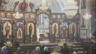 November 17 2024 Divine Liturgy Saint Ann Byzantine Catholic Church [upl. by Flosser370]