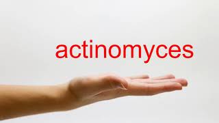 How to Pronounce actinomyces  American English [upl. by Carper]