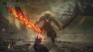 Elden Ring  Fire Knight Greatsword feels SO good to use on Consort Radahn now Patch 114 No Hit [upl. by Rexferd]