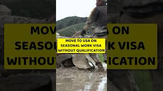 USA Seasonal work visa [upl. by Gninnahc89]