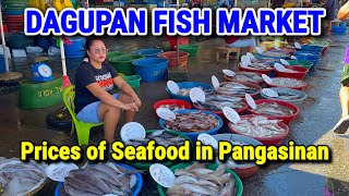 DAGUPAN FISH MARKET  Pangasinan’s Biggest Seafood Market Prices this November 2023  Philippines [upl. by Pantia55]