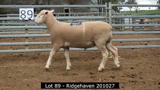 Lot 89  Ridgehaven 201027 [upl. by Noakes]