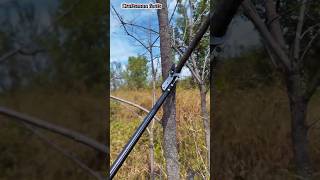 See how tree branches are cut [upl. by Radec656]