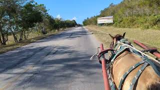 Guardalavaca Holguin Cuba April 20th 2024 [upl. by Graner807]