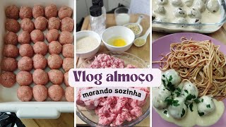 VLOG PREPARANDO ALMOÇO FAZENDO ALMÔNDEGAS SUECAS DA COZINHEIRA vlog grata morandosozinha [upl. by Perrin948]