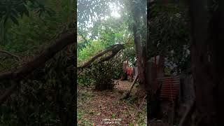 What typhoon did typhoon typhoonph typhoonkristine batangas original originalsound noediting [upl. by Breen998]