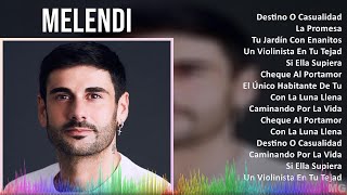 Melendi 2024 MIX Las Mejores Canciones  Destino O Casualidad La Promesa Tu Jardín Con Enanito [upl. by Buffum]