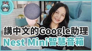 Google Nest mini 智慧音箱 會說中文的 Google小姐 售價兩千台幣有找！ [upl. by Martynne]