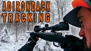 ADIRONDACKS DEER HUNTING  Tracking Deer in New York [upl. by Lladnik]