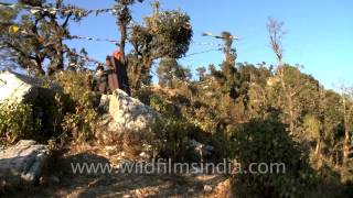 Flag Hill climbing  Woodstocks outdoor education Mussoorie [upl. by Grani480]