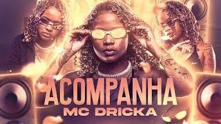 Mc Dricka  Seu Pa Vacilou DJ TH [upl. by Leviram]