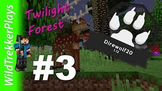 Direwolf20 112  3 Portals  Twilight Forest  3 Modded Minecraft 1122 [upl. by Notsua526]