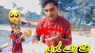 itny baray lemoon ne big lemon 🍋 daily family vlog  routine vlog  Pakistani vlog latifkarori [upl. by Ivo444]