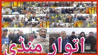 sunday market Itwar mandi Hazro pigeon murgh meeting with Chhachi Peoples cheap food Pakistan vlog [upl. by Delastre]