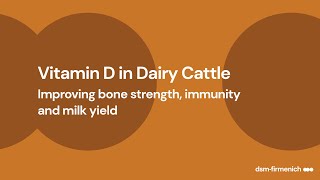 Improving Vitamin D Status in Dairy Cattle [upl. by Chemush]