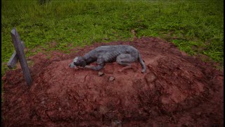 Dog spends whole night lying on his owners grave  Red Dead Redemption 2 [upl. by Maidel]