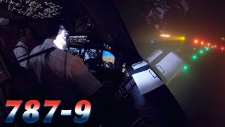 FREEZING FOG Takeoff in COCKPIT BOEING 7879 [upl. by Waers209]