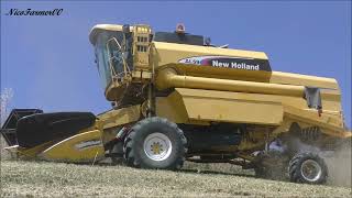 START HARVEST SEASON 2K24  NEW HOLLAND AL59  NEW HOLLAND TM120  FERRANTE [upl. by Naillil]