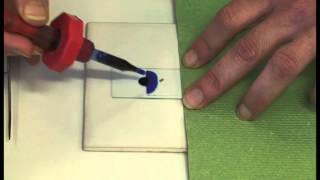 Preparing a microscope slide [upl. by Dorran]