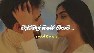 වැඩිමල් ඔබේ හිතට  slowed amp reverb  ofyy slowedandreverb music [upl. by Hplodnar]