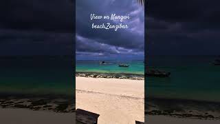 Experience the REAL Zanzibar at Nungwi Beach [upl. by Oiruam]