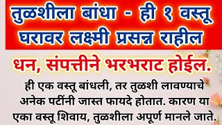 तुळशीला ही १ वस्तू बांधा धन संपत्ती प्राप्त होईल  घरावर लक्ष्मीची कृपा राहील shreeswamisamarth [upl. by Enelrahs]