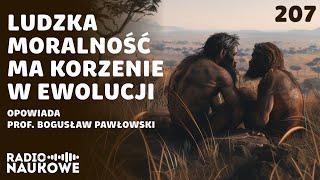 Ewolucja moralności – przykazania zasady i prawa wynikają z biologii  prof Bogusław Pawłowski [upl. by Harwell72]