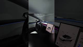 4D Rotation Tweeter for Tesla Model 3 2023 [upl. by Noswad183]