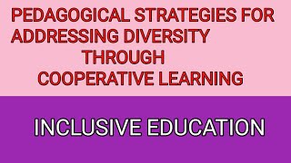 Pedagogical strategies for addressing diversity through cooperative learningInclusive Education [upl. by Fachini]