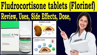 Fludrocortisone tablets in hindi  Review Florinef 01 mg tablets  Uses Side Effects Dose Warning [upl. by Sloane]