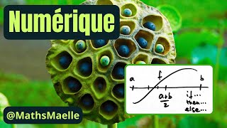 Méthode de dichotomie  Résolution numérique des équations non linéaires Analyse numérique [upl. by Sirronal]