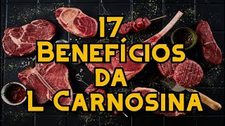 17 Benefícios da L Carnosina [upl. by Ohcamac]