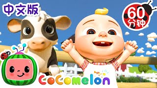 农场里的动物歌  大合集  經典熱門兒歌  Kids Song  動畫  童謠  儿童学习  卡通片  CoComelon 中文  Nursery Rhymes [upl. by Acsicnarf107]