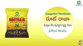 Gangothri Fertilizers  Rootraja  Endomycorrhizal Bio Fertilizer  రూట్ రాజా మైకోరైజల్ శీలీంద్రము [upl. by Anauq590]