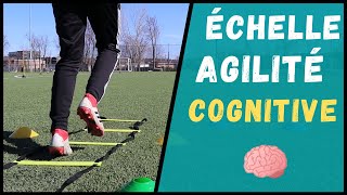 Échelle dagilité cognitive  améliore ta MOTRICITÉ et COORDINATION ⎪CogiFit [upl. by Lorre276]