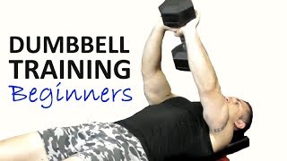 Dumbbell Training For Beginners  Upper Body Workout 20 mins [upl. by Hannahoj873]