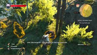 The Witcher 3 Wild Hunt Where is the CROWS eye part 1 [upl. by Gabriell]