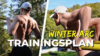 Mein aktueller CALISTHENICS Trainingsplan  Winter Arc 3 [upl. by Farrar309]