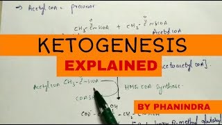 Ketogenesis  Metabolism and degradation  Energetics [upl. by Hogle]