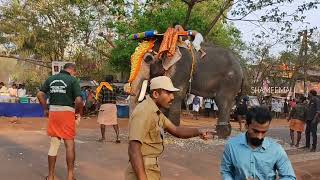 ചാലിശ്ശേരി പൂരത്തിന് ചീരോത്ത് രാജീവ് 2024 Chalisseri Pooram  ചെക്കൻ ഒന്ന് പിണങ്ങി l Cheeroth Rajeev [upl. by Artemas]