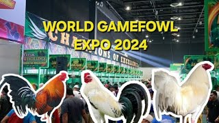 World Gamefowl Expo 2024  Part 1 [upl. by Ynittirb484]