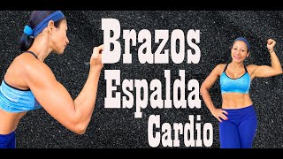 Rutina para brazos y espalda en casa  Cardio  Rutina 994 [upl. by Madlin]