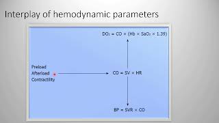 Hemodynamic monitoring children 1 [upl. by Naujd15]